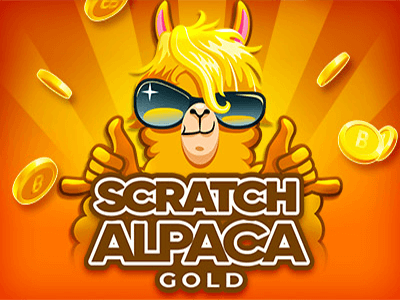 Scratch Alpaca Gold