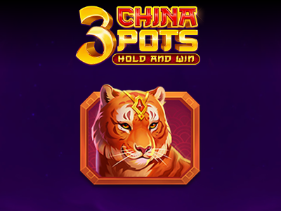 3 China Pots