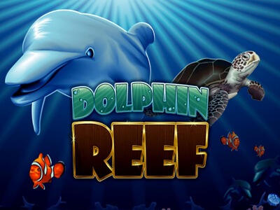 Dolphin Reef